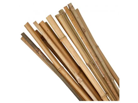 Podpěra rostlin bambusova 16-18/180 10ks